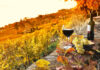 Un petit guide interactif du vin en France Un petit guide interactif du vin en France
