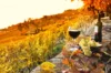 Un petit guide interactif du vin en France Un petit guide interactif du vin en France