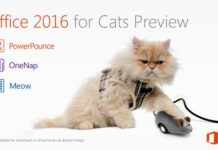 L’image du jour : Office 2016 pour les chats ! office-2016-for-cats-home