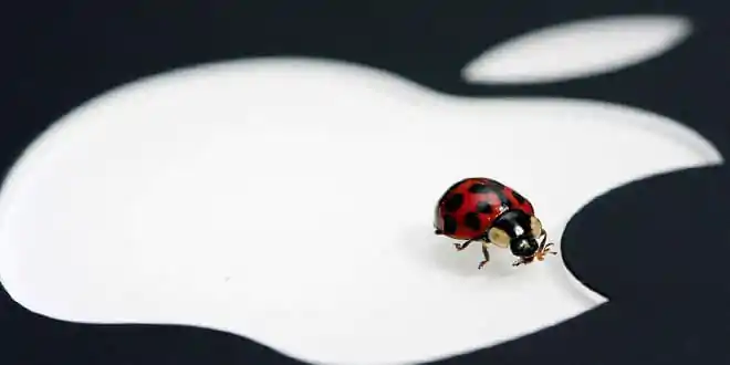bug-apple
