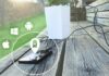 Recharger son smartphone grâce à une plante verte, c’est bientôt possible !