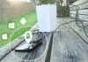 Recharger son smartphone grâce à une plante verte, c’est bientôt possible !