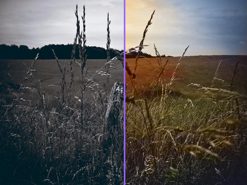 rendered-comparison-colorize-photo-2