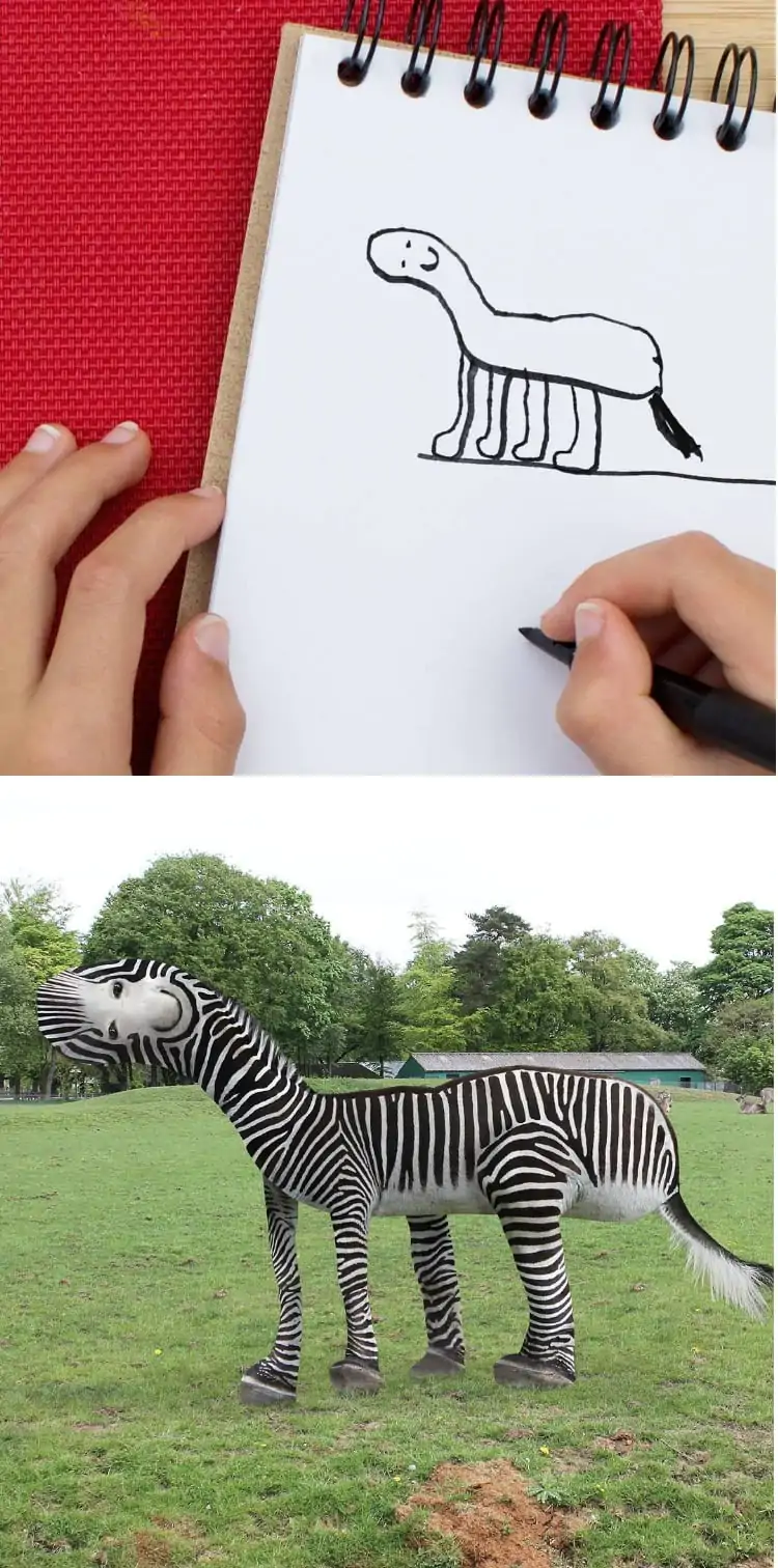 things-i-have-drawn-zebre