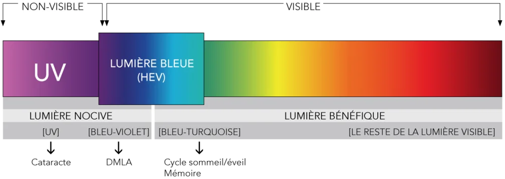 lumiere bleue | Eye Saver : un logiciel pour protéger vos yeux des effets néfastes de votre écran d'ordinateur !