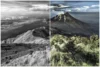 ColouriseSG colorise vos photos noir et blanc grâce au deep learning colouriseSG paysage