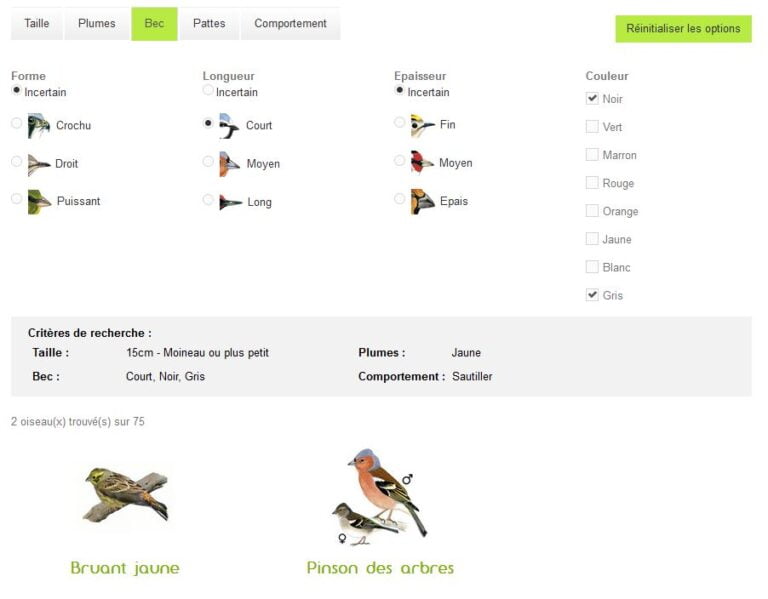 Oisillon.net : un outil en ligne pour identifier les oiseaux