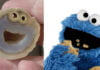 #EnImage : un portrait de monstre sympa à l’intérieur d’une pierre cookie monster pierre ressemblance