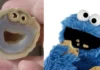 #EnImage : un portrait de monstre sympa à l’intérieur d’une pierre cookie monster pierre ressemblance