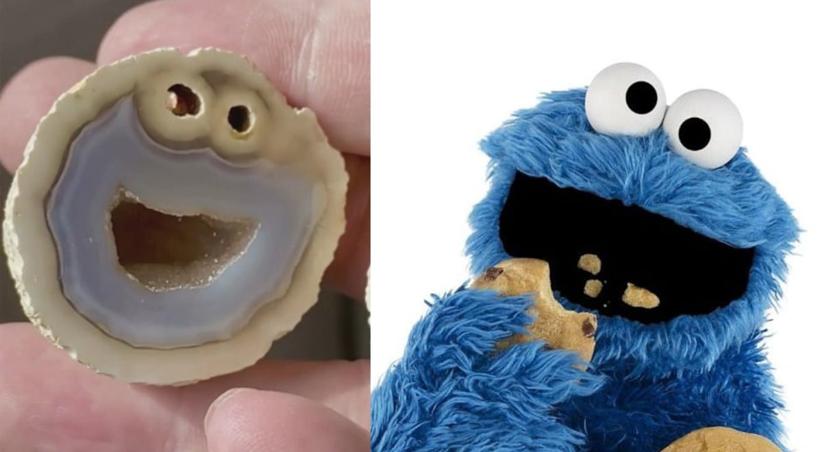 cookie monster pierre ressemblance