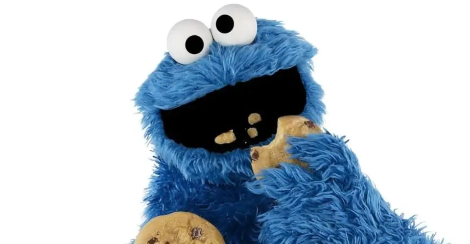 Un portrait de monstre sympa à l'intérieur d'une pierre - Cookie Monster Sesame Street