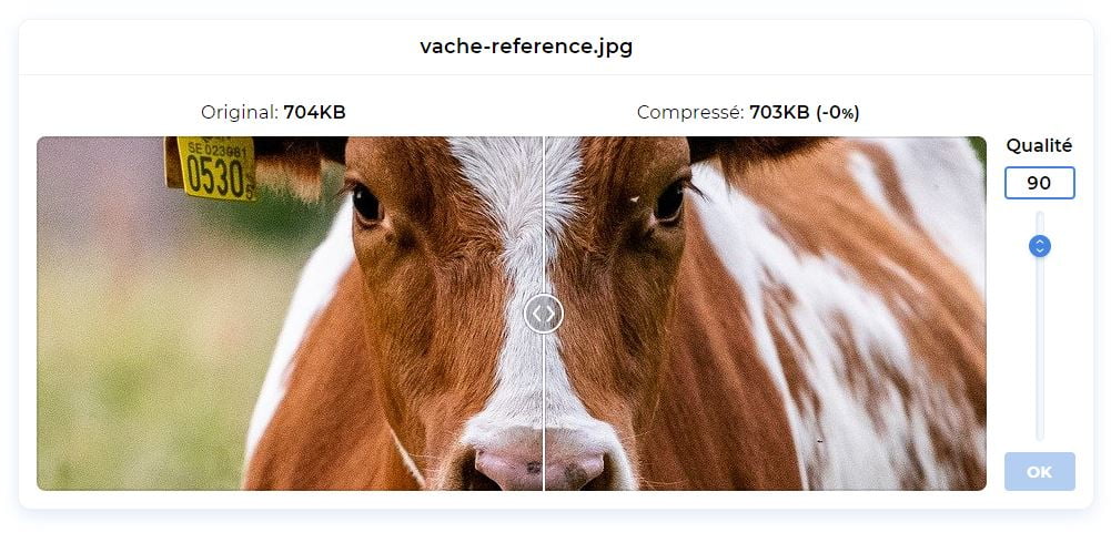 compression image en ligne