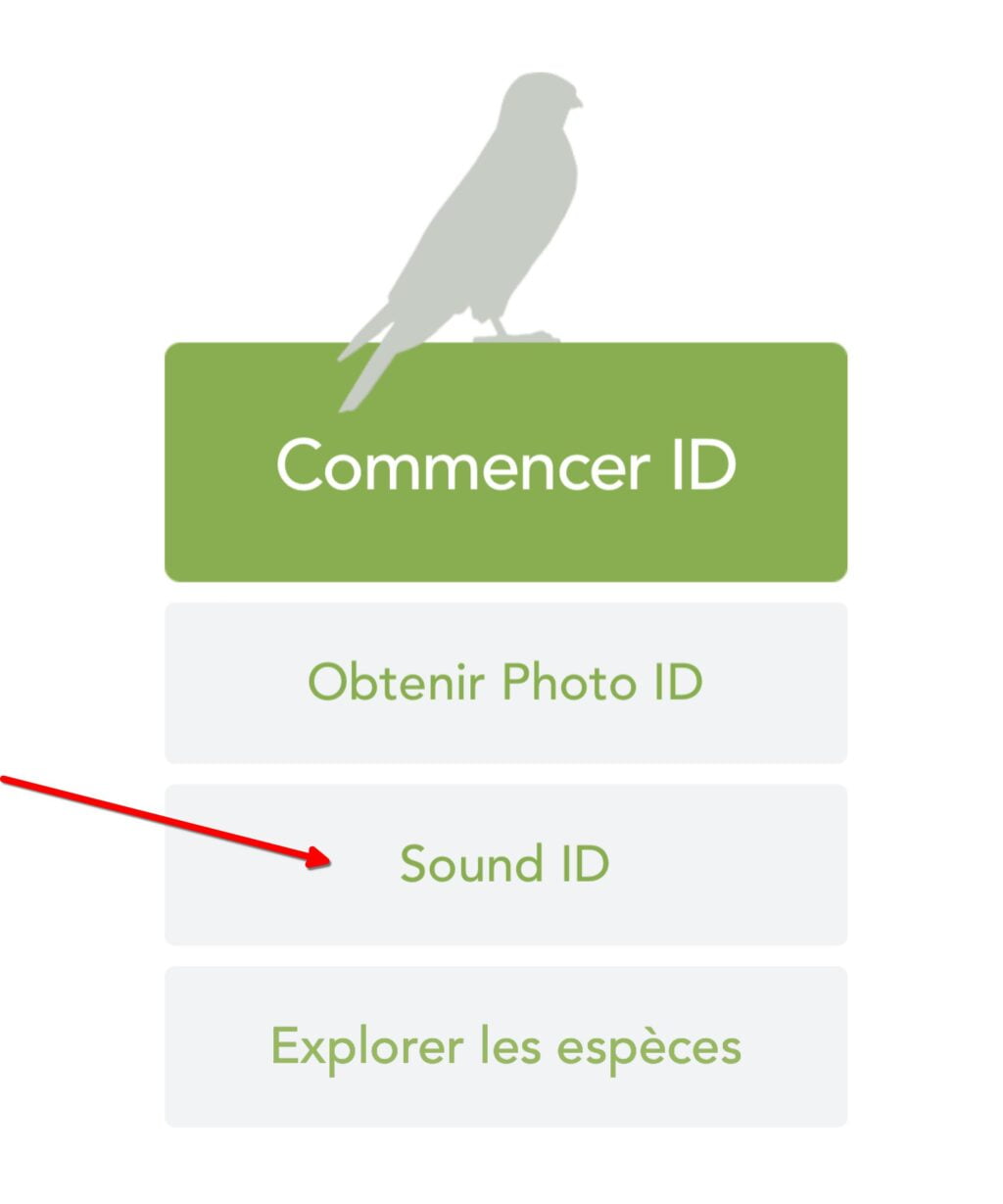 Identifier un chant d'oiseau avec l'application Merlin Bird ID - Sound ID