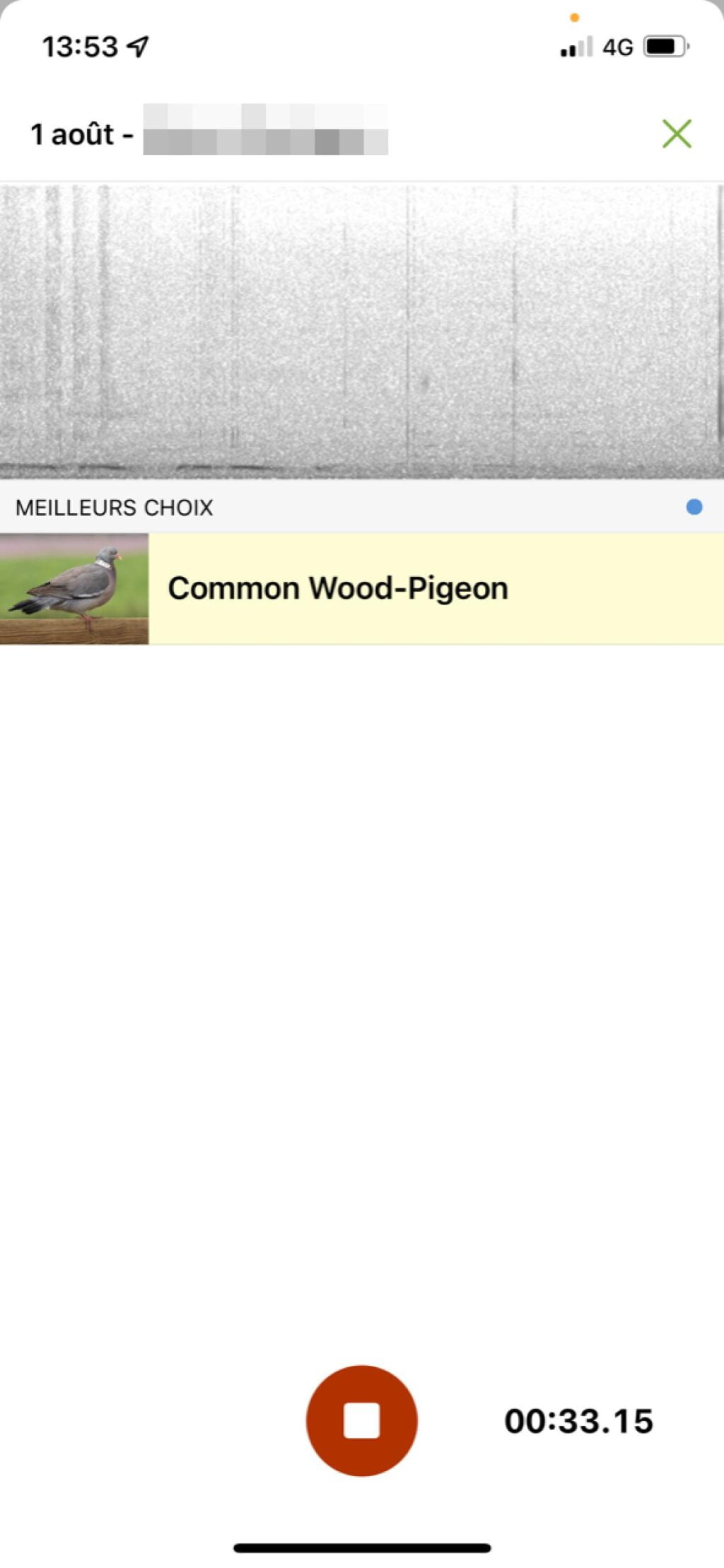 Identifier un chant d'oiseau avec l'application Merlin Bird ID - Pigeon