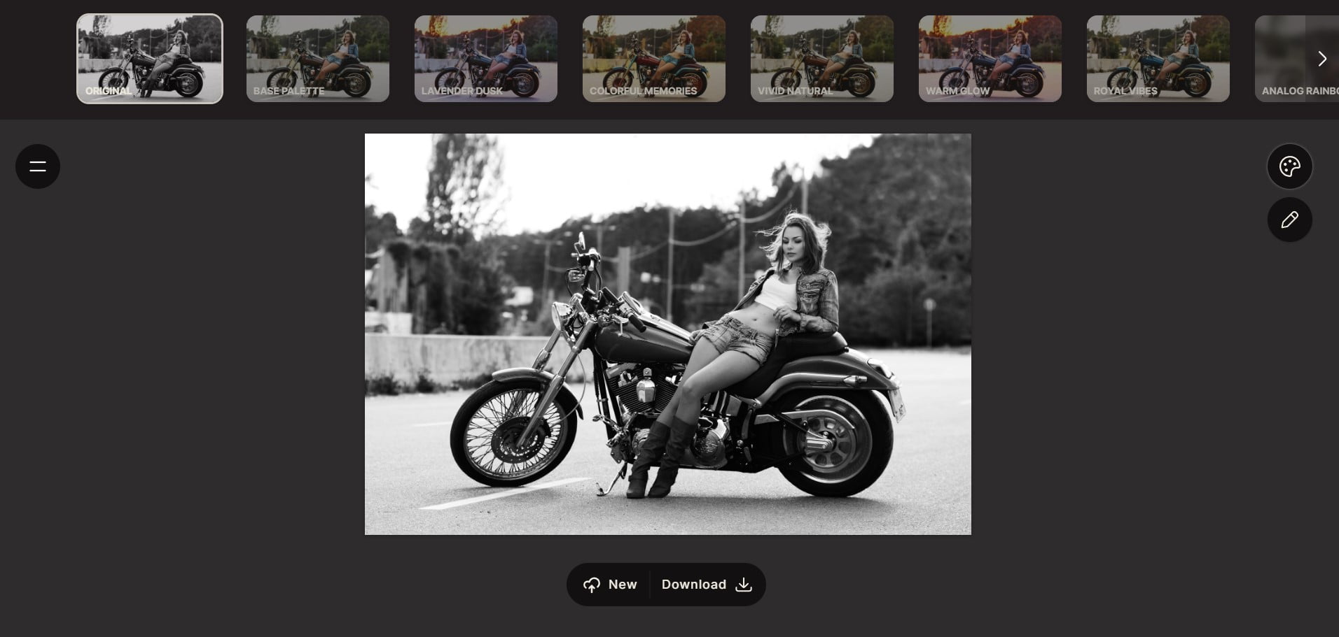 Palette - coloriser une photo noir et blanc