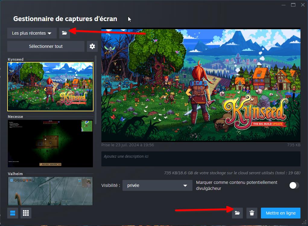 Gestionnaire de captures d'écran Steam