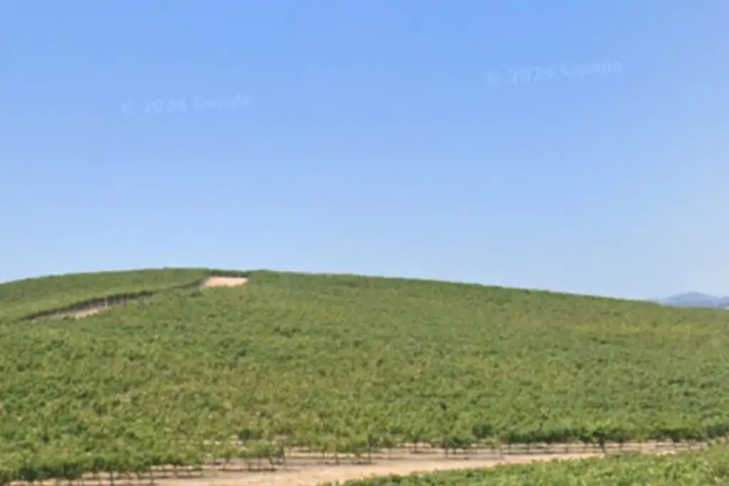 La colline de Windows XP de nos jours, en été