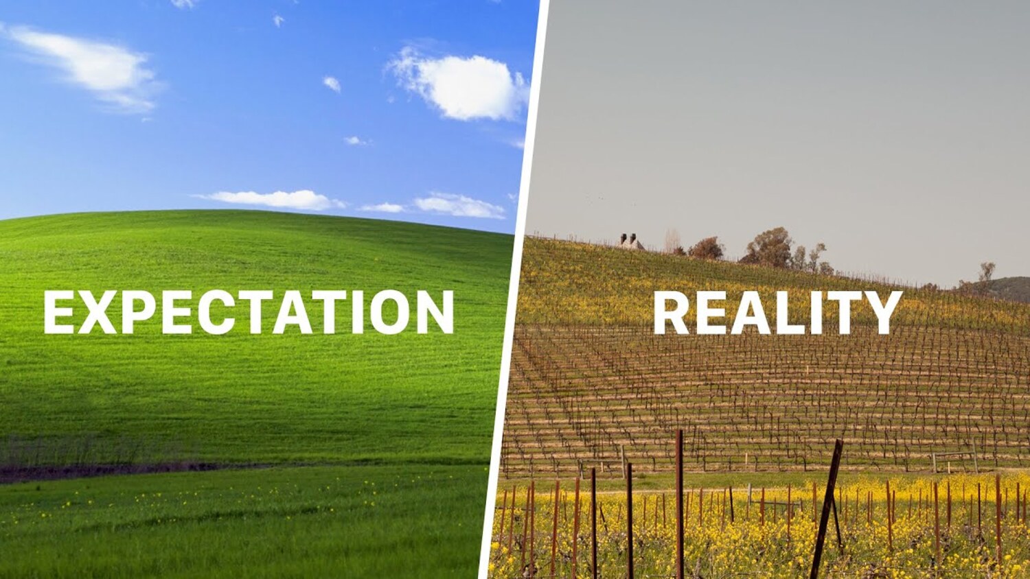 fond ecran windows | Voici à quoi ressemble la mythique colline de Windows XP, 28 ans plus tard. Le changement est incroyable.