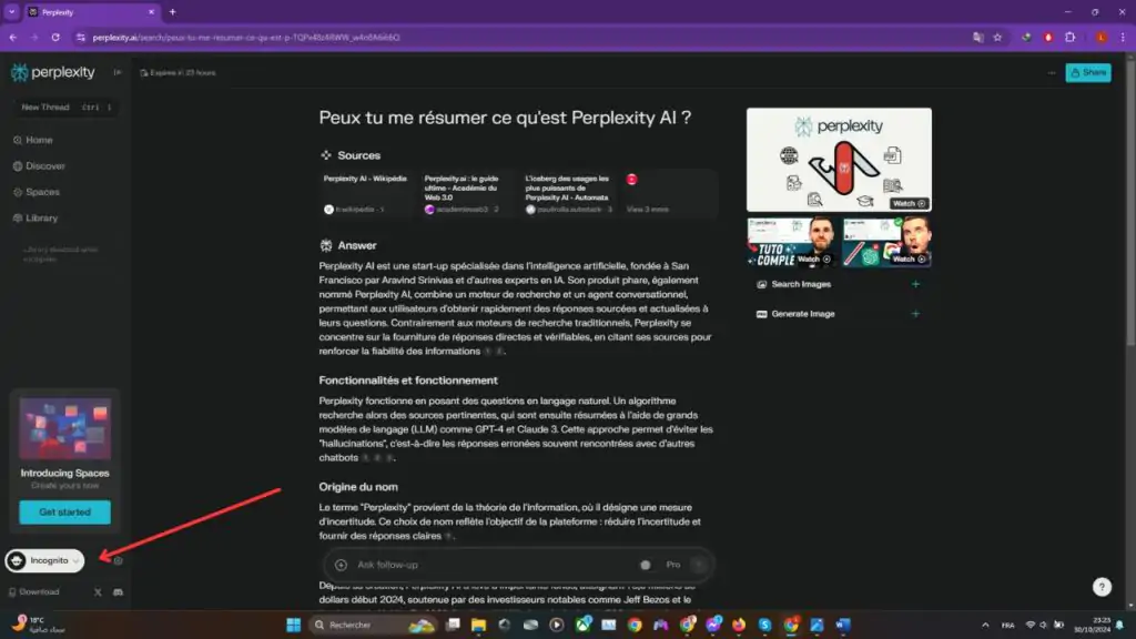 Perplexity-AI-test-incognito