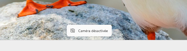 Comment activer la notification d’utilisation de la caméra sur Windows 11 2 windows 11 camera desactivee | Comment activer la notification d’utilisation de la caméra sur Windows 11