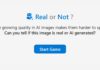 Real or Not : saurez-vous déjouer les images créées par l’IA ? Real or Not Quizz