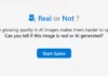 Real or Not : saurez-vous déjouer les images créées par l’IA ? Real or Not Quizz