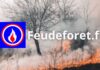 Incendies 2026 : comment suivre les feux en direct avec l’application Feux de Forêt ? Feux de forêt application france